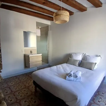 アパート T3 Centre 1er Etage アンジェ