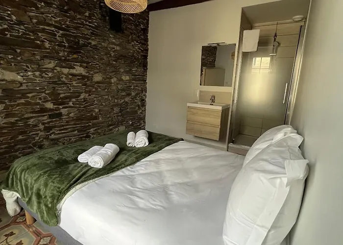 アパート T3 Centre 1er Etage アンジェ