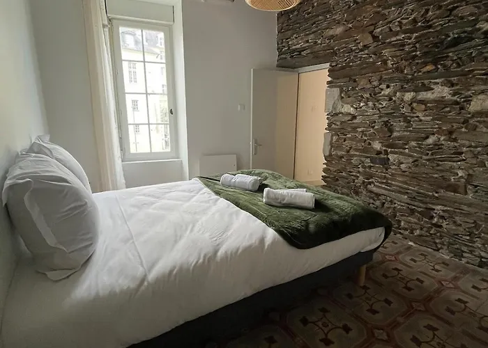 T3 Centre 1er Etage アパート アンジェ